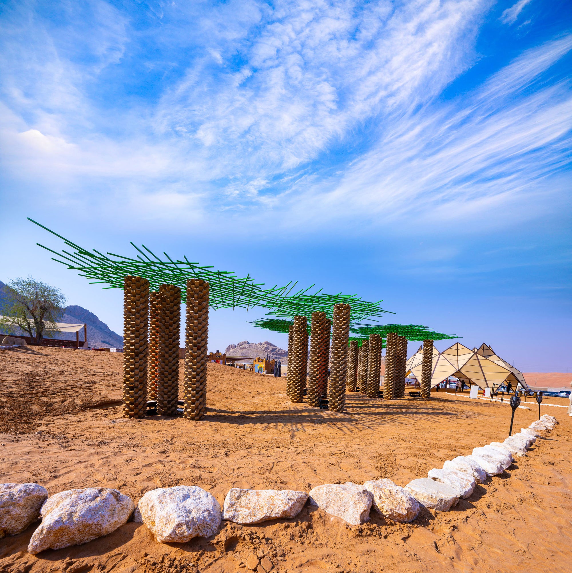 Palm Oasis